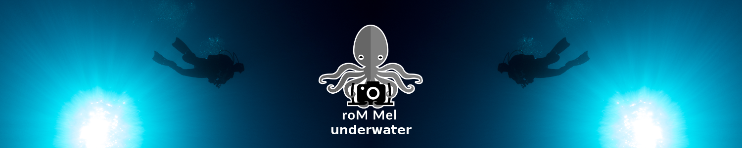 roMMel underwater